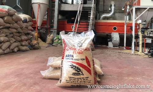 Çamcıoğlu Flake